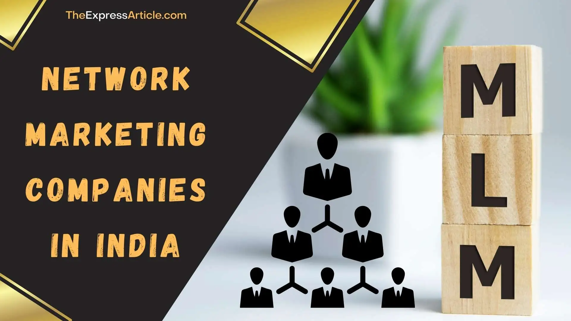 Trusted Network Marketing Companies In India