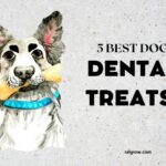 Best Dog Dental Treats