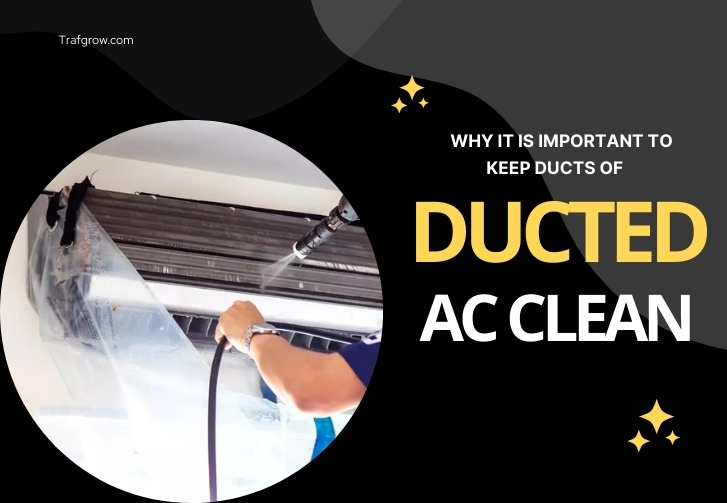 Ducts Of Ducted AC Clean