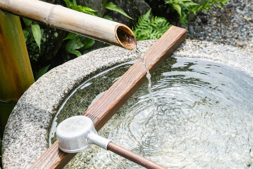 Greenville water damage restoration
