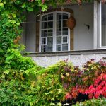Replacement windows