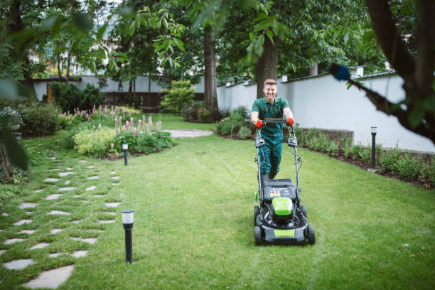 commercial lawn maintenance