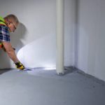 mold inspections