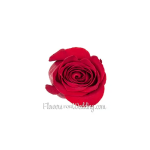 wedding flowers