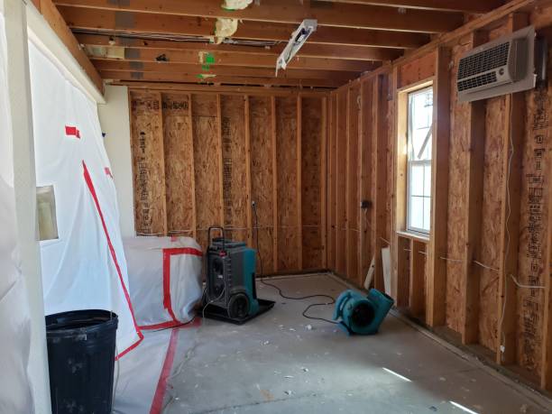 Water damage mitigation