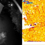 Forensic Image Analyzer