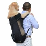 large dog car seat