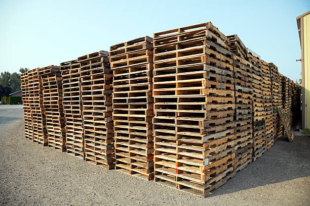 Why Is Wood Pallet Recycling the Smart Choice for Modern Businesses?
