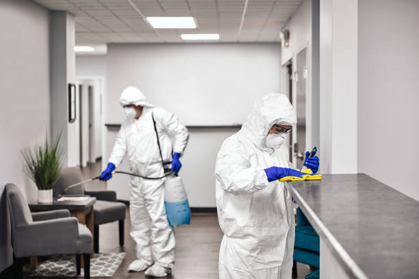 How Can Office Cleaning Services Improve Workplace Productivity?