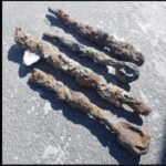 Black Dive Expedition Controversy