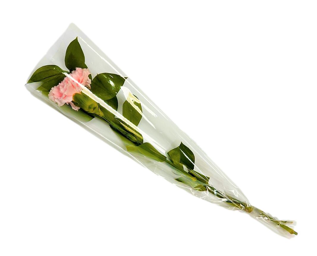 Carnations Wholesale: The Freshest Way to Buy Flowers